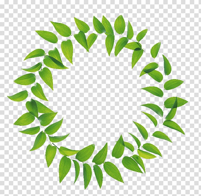 green leaves combination ring transparent background PNG clipart
