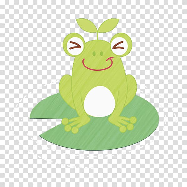 Tree frog , Green Frog transparent background PNG clipart