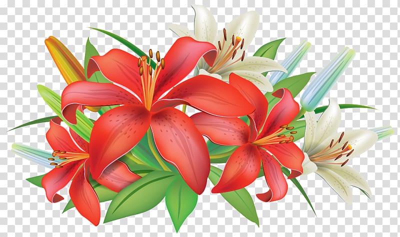 Easter lily Arum-lily Flower , plumeria transparent background PNG clipart