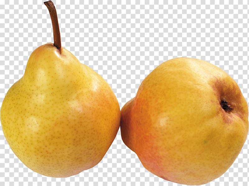Juice European pear Asian pear Amygdaloideae Food, pear transparent background PNG clipart