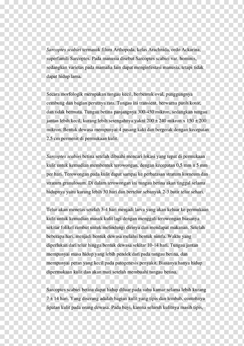 Study abroad Essay Scholarship Personal Statement Student, student transparent background PNG clipart