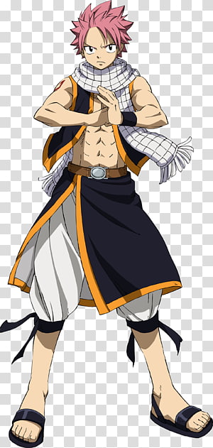 Natsu Dragneel Erza Scarlet Fairy Tail Character Anime, fairy tail