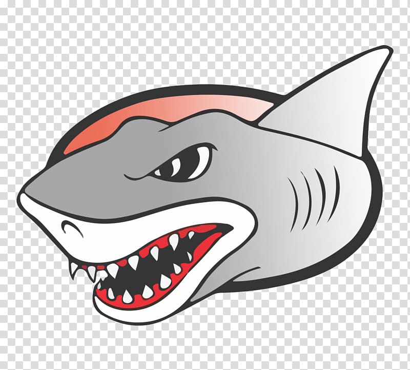 Cornish Sharks Torbay Trojans American football Sport Hayle, american football transparent background PNG clipart