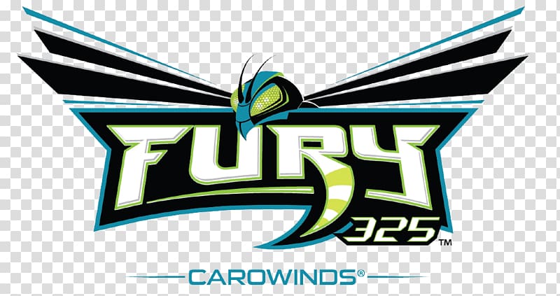 Fury 325 Millennium Force Roller coaster Amusement park Intimidator, fury transparent background PNG clipart