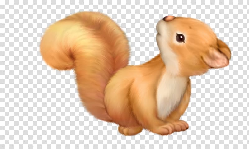 Squirrel Cuteness Animation , squirrel transparent background PNG clipart