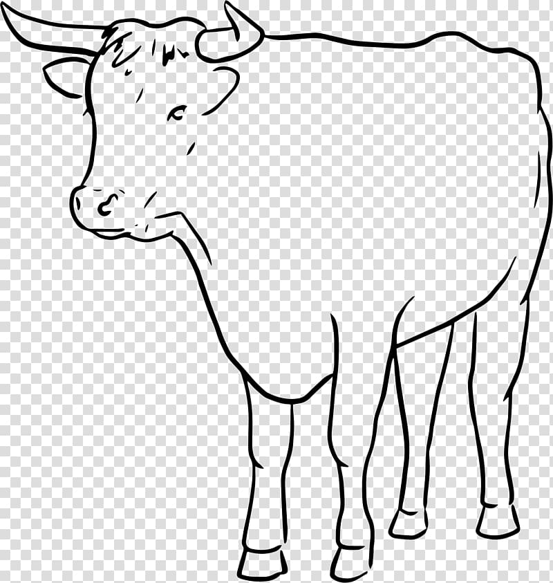 Cattle Bull Drawing Line art, draw transparent background PNG clipart