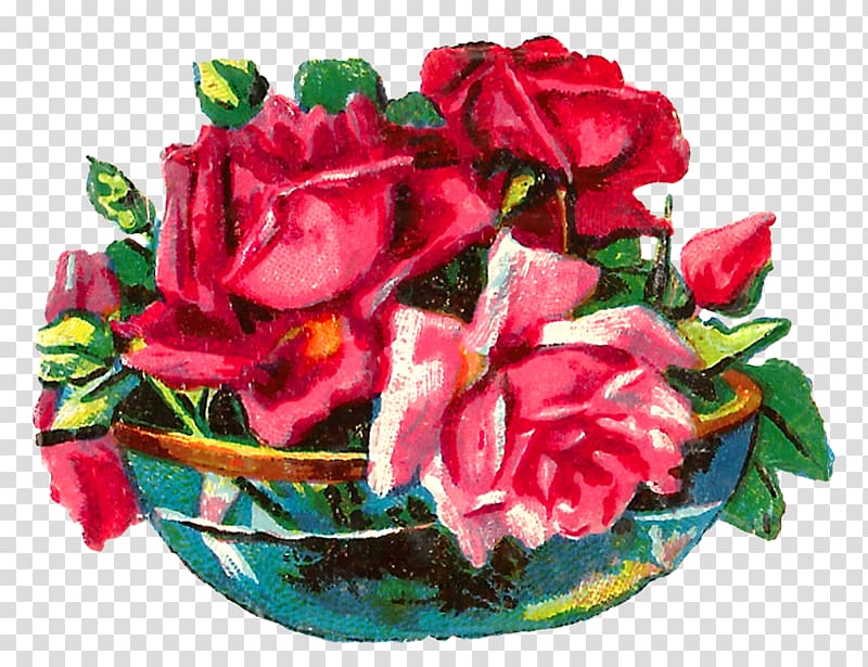 Garden roses Cut flowers Vase , flower vase transparent background PNG clipart