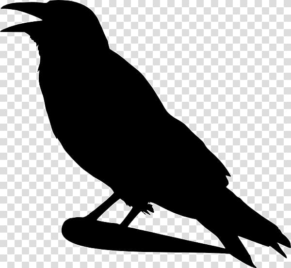 Crows Silhouette , crow transparent background PNG clipart