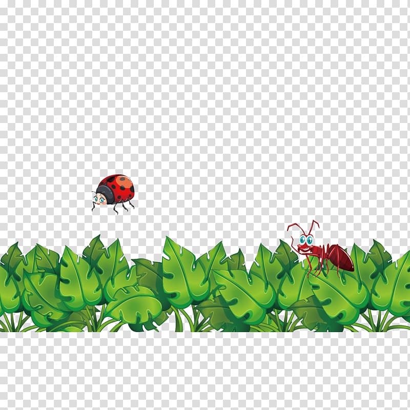 Plant , bush transparent background PNG clipart