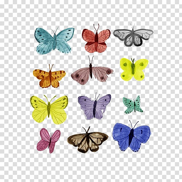 Butterfly Drawing Transparency and translucency, butterfly transparent background PNG clipart