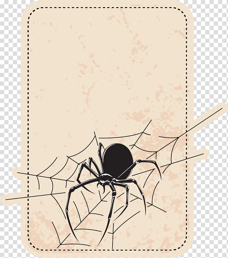 Spider Icon, Spider Border transparent background PNG clipart