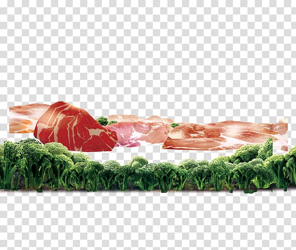 Bresaola Asado Broccoli Meat, Meat and broccoli transparent background PNG clipart