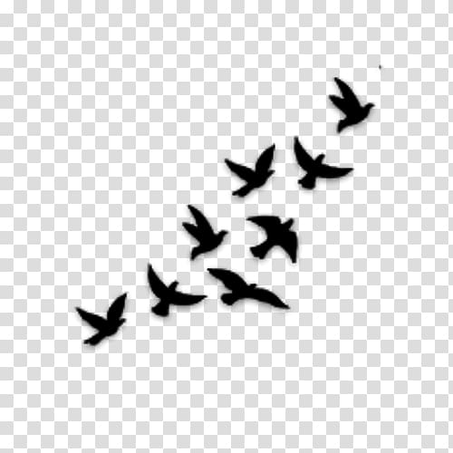 Bird Tattoo Drawing Flight, Bird transparent background PNG clipart