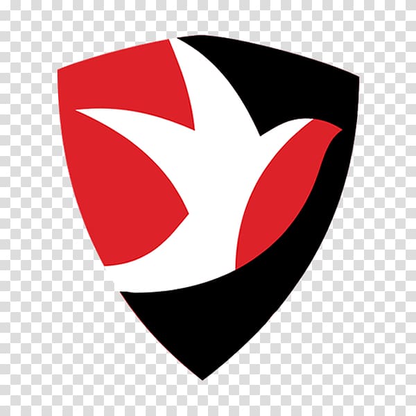 Whaddon Road Cheltenham Town F.C. Training Ground Wycombe Wanderers F.C. Football, football transparent background PNG clipart