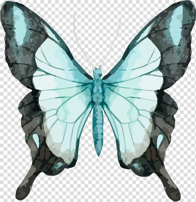 teal and black butterfly , Butterfly Watercolor painting , Beautiful butterfly watercolor transparent background PNG clipart
