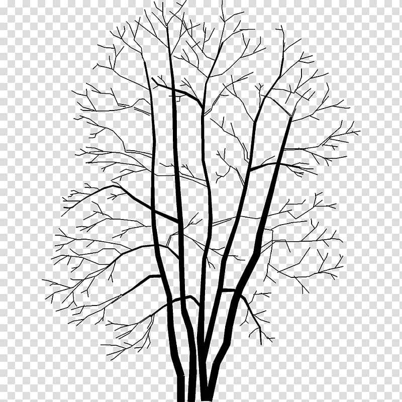 Twig .dwg AutoCAD DXF Drawing, tree transparent background PNG clipart
