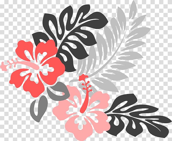 Shoeblackplant Hawaiian hibiscus Hibiscus tea, Gray Coral Clothes transparent background PNG clipart