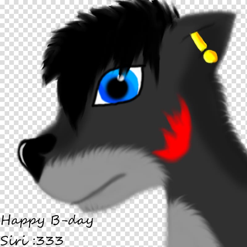 Whiskers Dog Cat Snout Fur, happy b day transparent background PNG clipart
