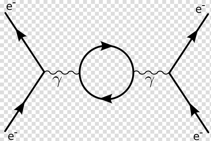 Feynman diagram Diagrammatica Quantum mechanics Quantum electrodynamics Quantum field theory, scientist transparent background PNG clipart