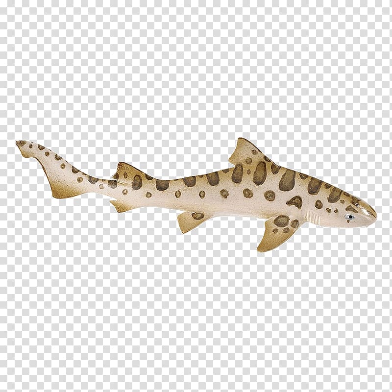 Cartilaginous fishes Leopard shark Leopard shark Safari Ltd, shark transparent background PNG clipart