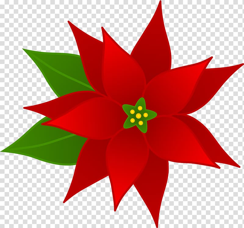 Poinsettia , christmas pets transparent background PNG clipart