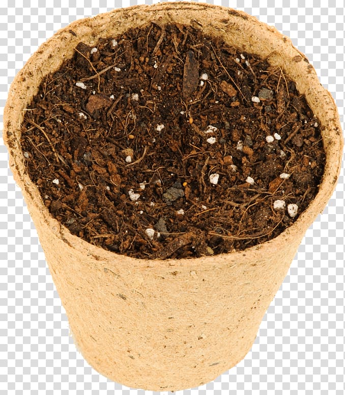 Soil Flowerpot, Stenocereus Eruca transparent background PNG clipart