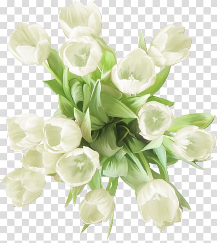 Garden roses Carnation Flower White, flower transparent background PNG clipart