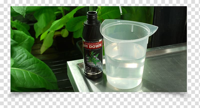 pH Hydroponics Solution Plant Acid, plant transparent background PNG clipart
