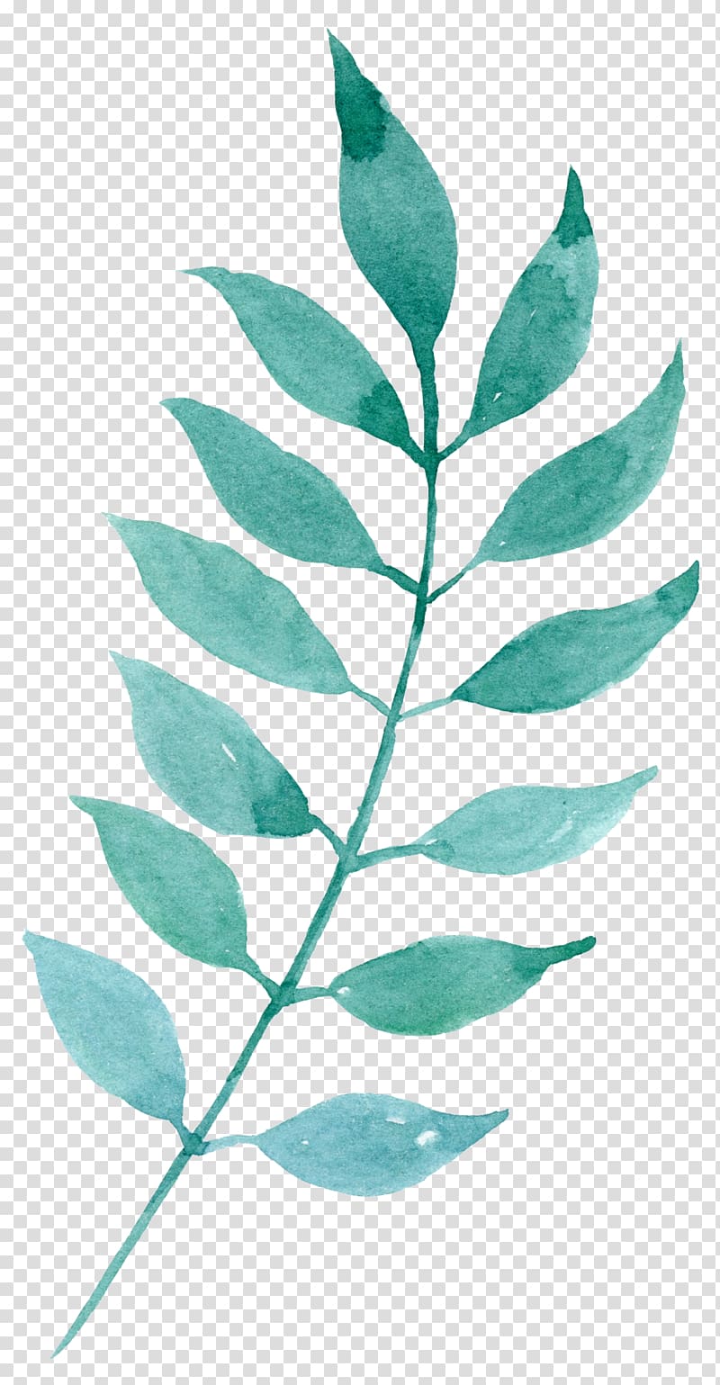 green leaf illustration, Watercolor painting Leaf, Hand-painted mint green leaves transparent background PNG clipart