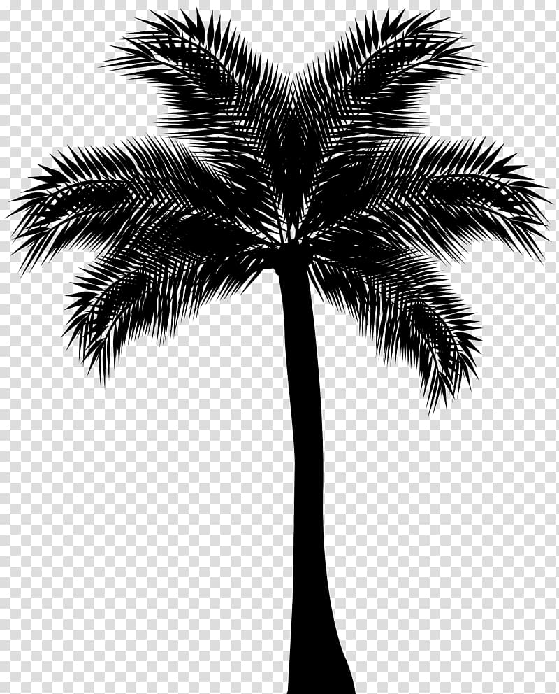 Asian palmyra palm Arecaceae Silhouette , Palm Tree Silhouette transparent background PNG clipart