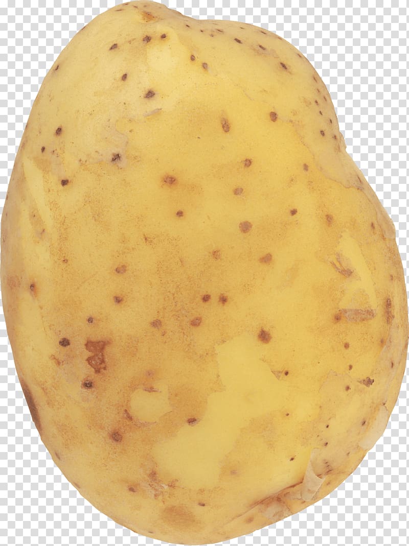 Baked potato T-shirt Computer file, Potato transparent background PNG clipart