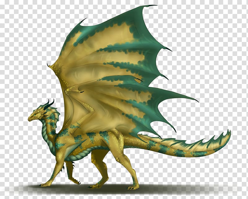 Dungeons & Dragons Monster Manual Bronze Wizards of the Coast, dragon transparent background PNG clipart