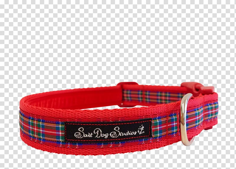 Dog collar Cat Stripe, Dog transparent background PNG clipart