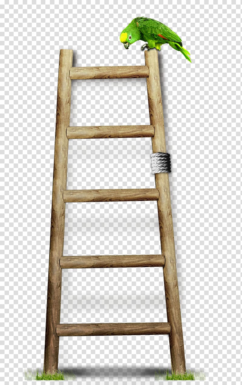 Wood Ladder Stairs, Wooden ladders transparent background PNG clipart