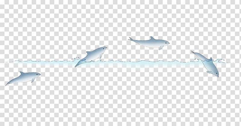 illustration Dolphin Illustration, Little fresh dolphin illustration transparent background PNG clipart