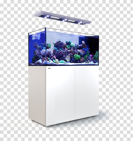 Red Sea REEFER Peninsula Aquariums Reef aquarium Red Sea Reefer 350, others transparent background PNG clipart