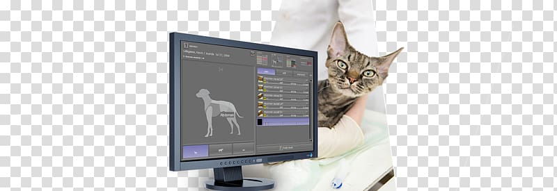 Digital radiography Computed Radiography DICOM Veterinary medicine, Veterinary Medicine transparent background PNG clipart