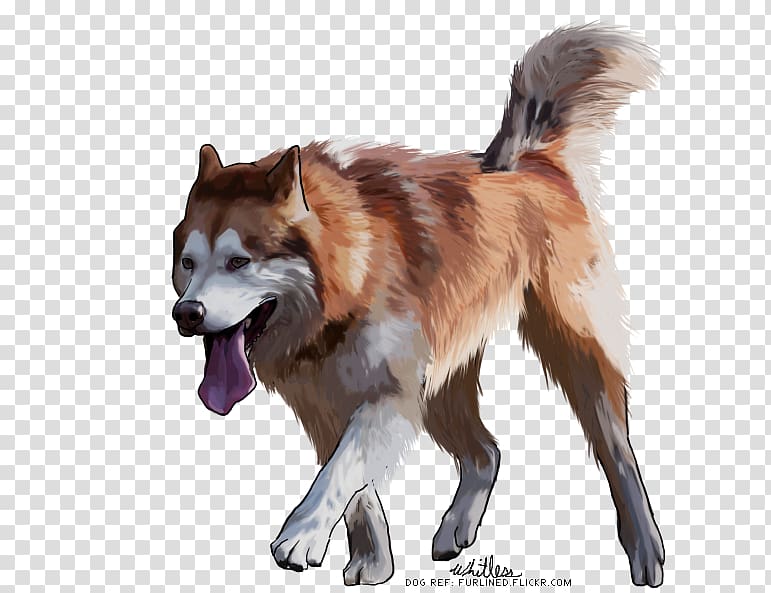 Siberian Husky Sakhalin Husky Greenland Dog Icelandic Sheepdog Canadian Eskimo Dog, husky transparent background PNG clipart