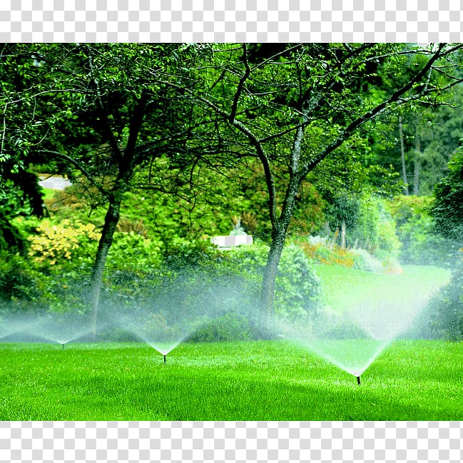 Irrigation sprinkler Landscaping Lawn Landscape design, lush tree top transparent background PNG clipart