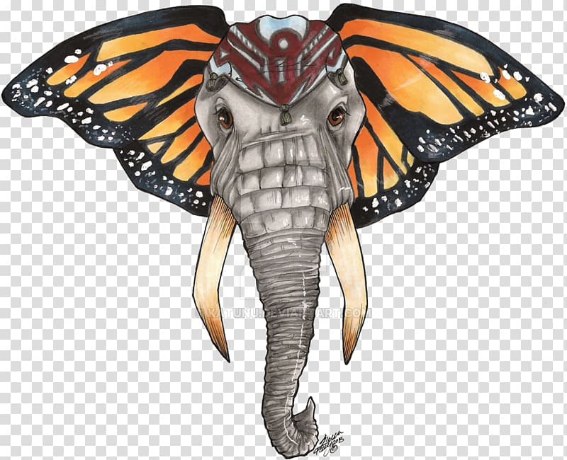 Monarch butterfly Moth Elephantidae Drawing, butterfly transparent background PNG clipart