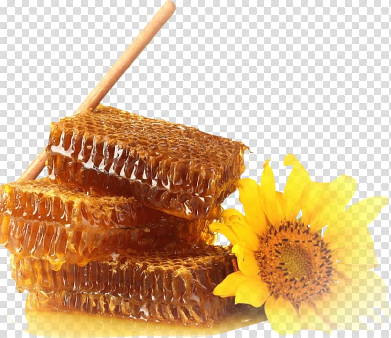 Honey bee Honeycomb , honey transparent background PNG clipart