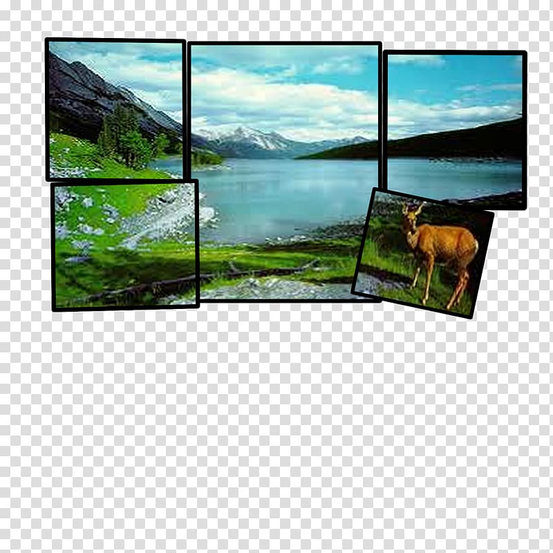 Television Landscape Display device Ecosystem Technology, filmstrip transparent background PNG clipart