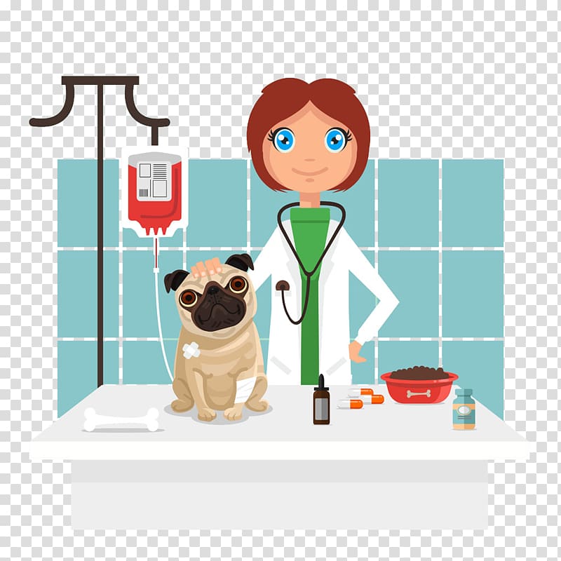 female veterinarian , Dog Veterinarian , Cartoon pet dog and pet doctor transparent background PNG clipart