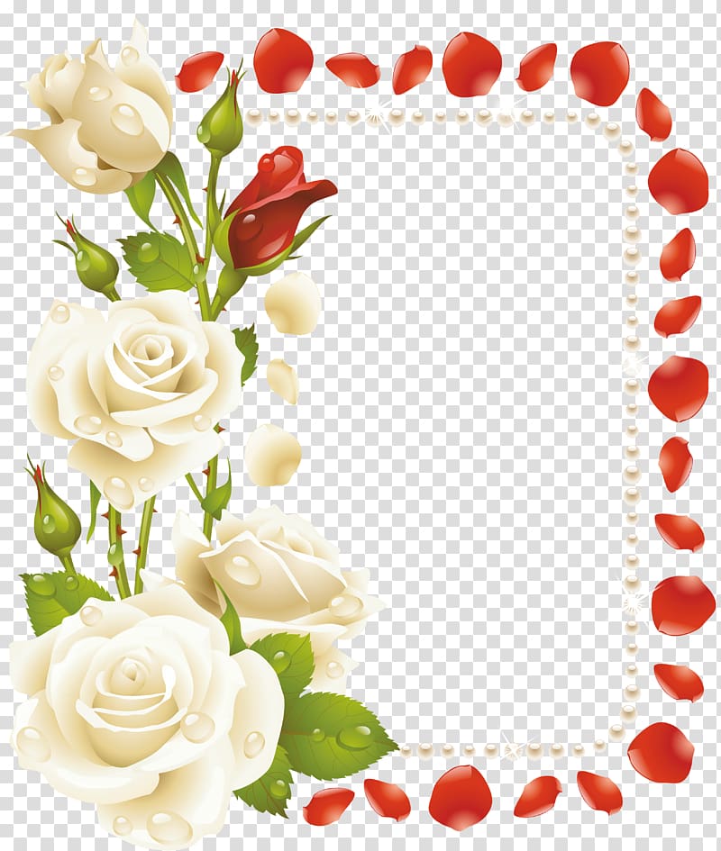 Garden roses Floral design Flower Art, rose transparent background PNG clipart