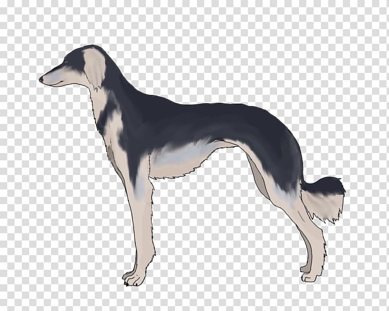 Saluki Spanish greyhound Sloughi Whippet, Dark Grizzle transparent background PNG clipart