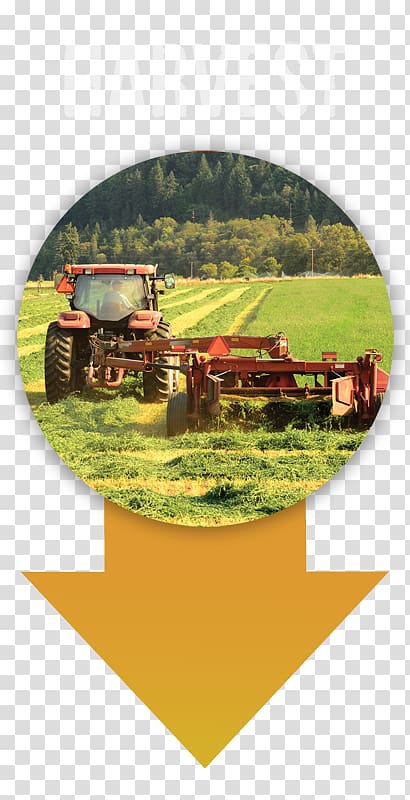 Agriculture EIMA INTERNATIONAL Organic farming Tractor Alfalfa, rich yield transparent background PNG clipart