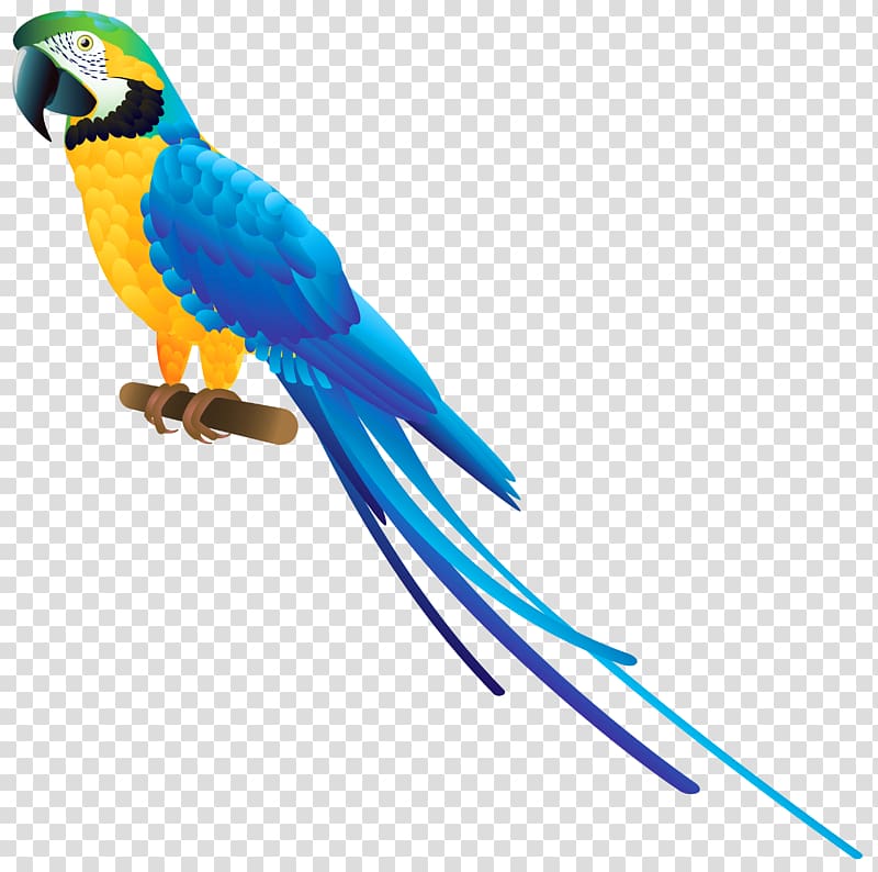 blue-and-yellow macaw illustration, Parrot Bird Blue-and-yellow macaw , Collection Parrot transparent background PNG clipart