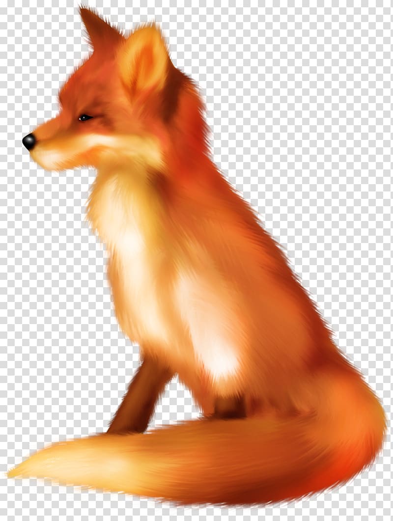 Red fox Dog Dhole , kira russian fox transparent background PNG clipart