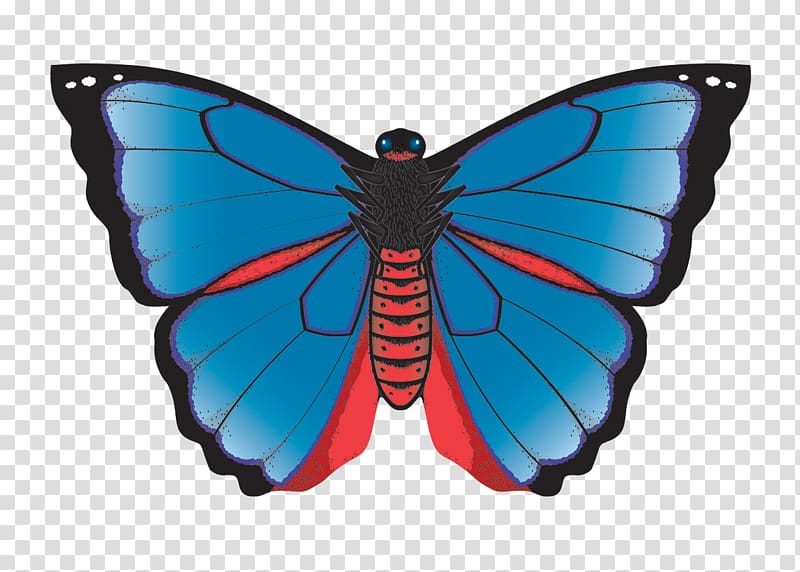 Monarch butterfly Karner, New York Karner blue Kite, summer shopping season summer discount transparent background PNG clipart