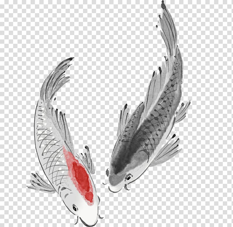 Squid Fish Cephalopod, Ink fish transparent background PNG clipart